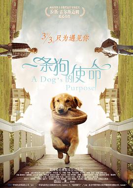 漂亮的媳妇